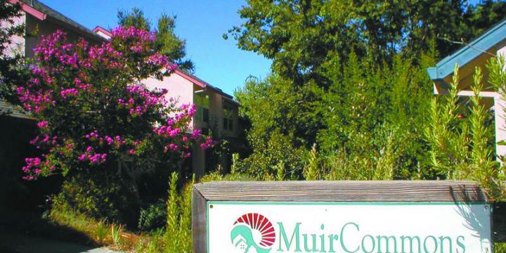 Muir Commons